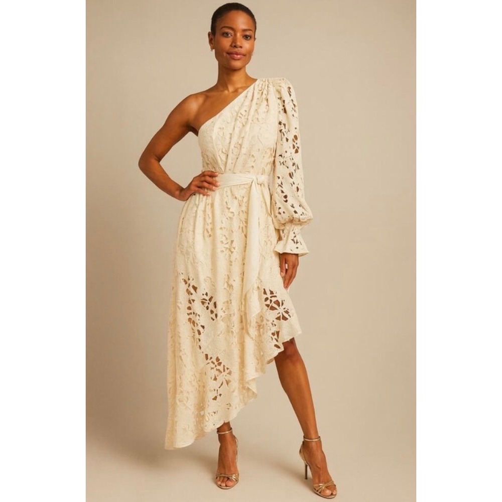 NWT Ramy Brook Jayda Assymetrical One Shoulder Embroidered Dress (MSRP: $1275) 4